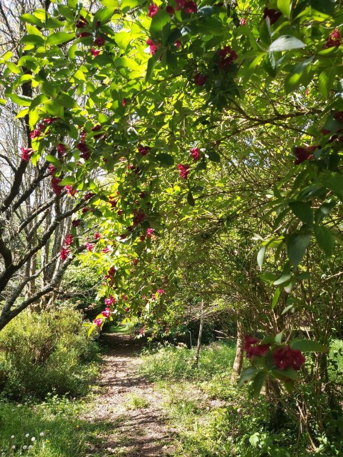 Domaine De Kerstrat Villa Douarnenez Bagian luar foto